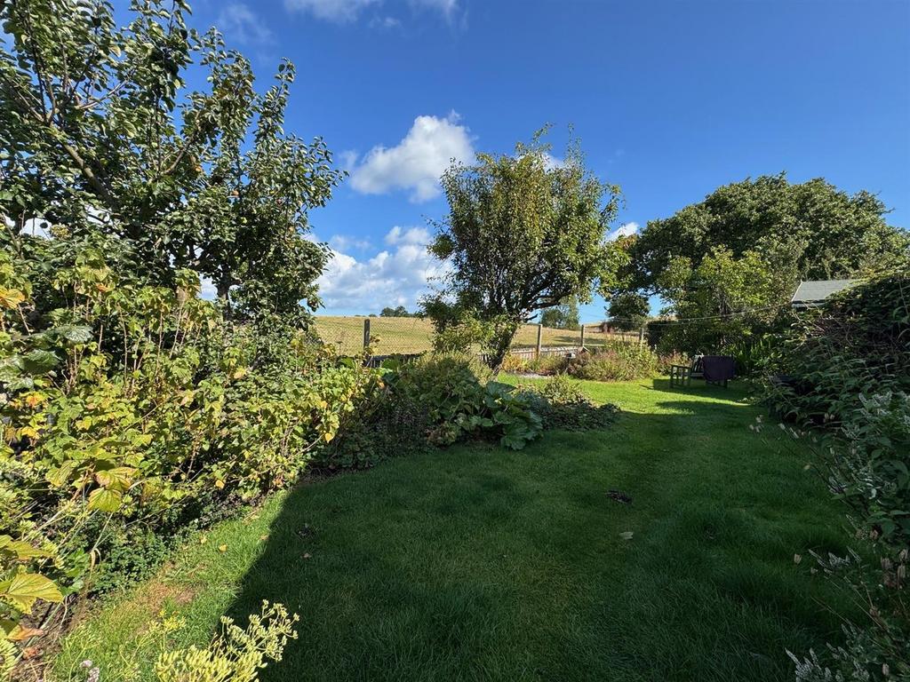 Garden 2.jpg