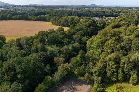 undefined, Lady Lothians Wood, Dalkeith, Midlothian, EH22