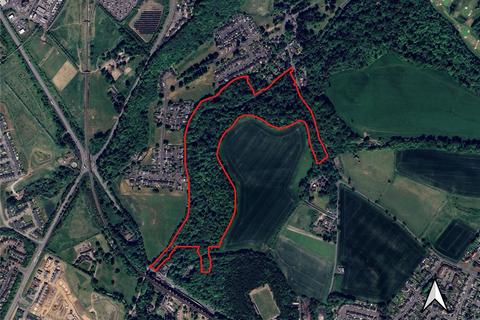 undefined, Lady Lothians Wood, Dalkeith, Midlothian, EH22