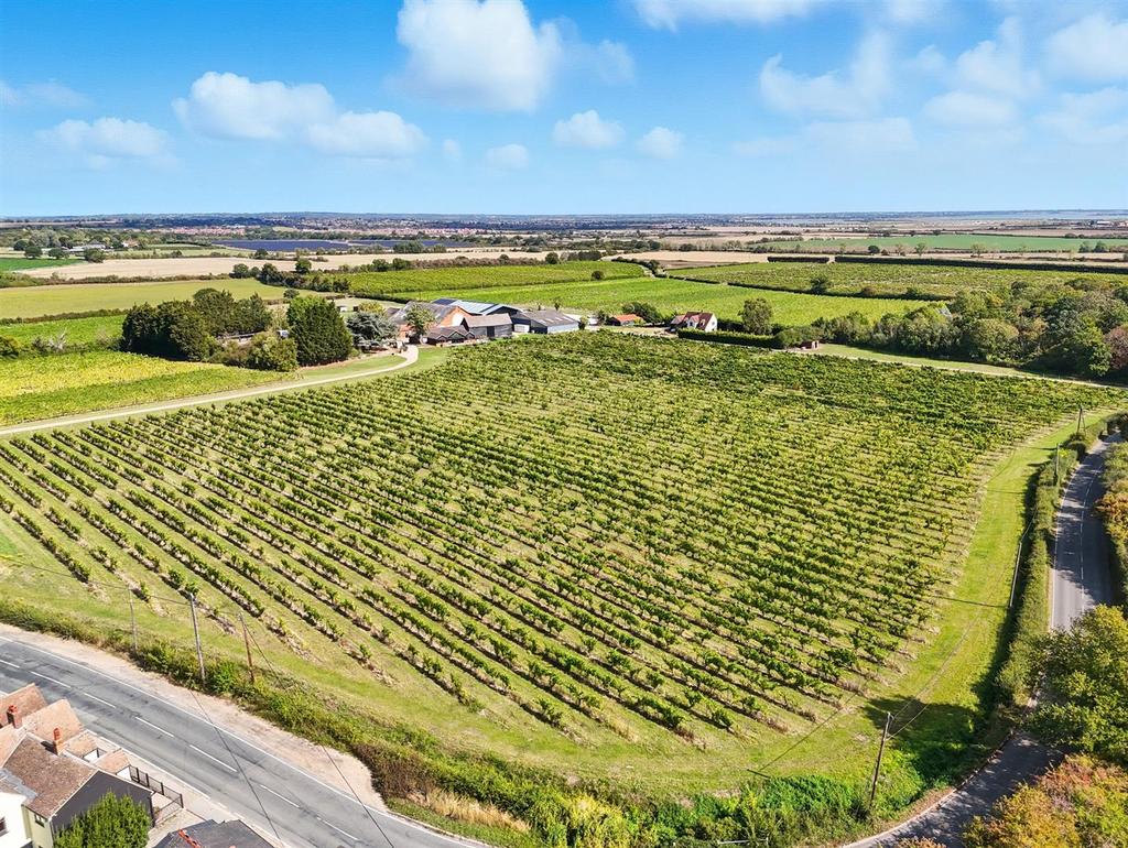 006 dji 20250908112430 0949 d.jpg