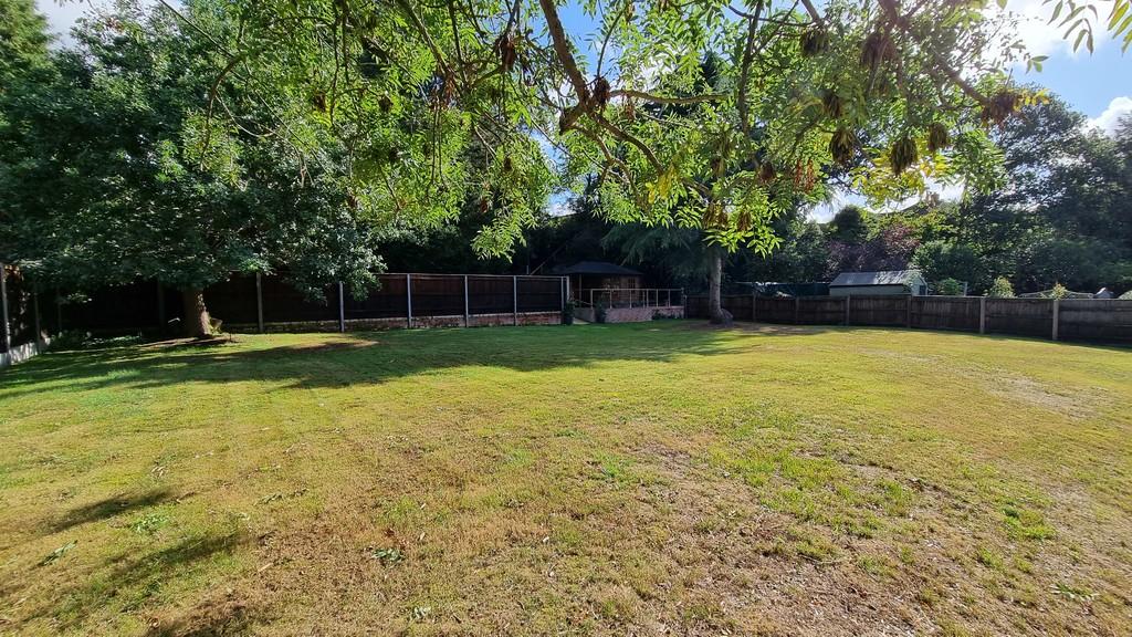 Garden 5