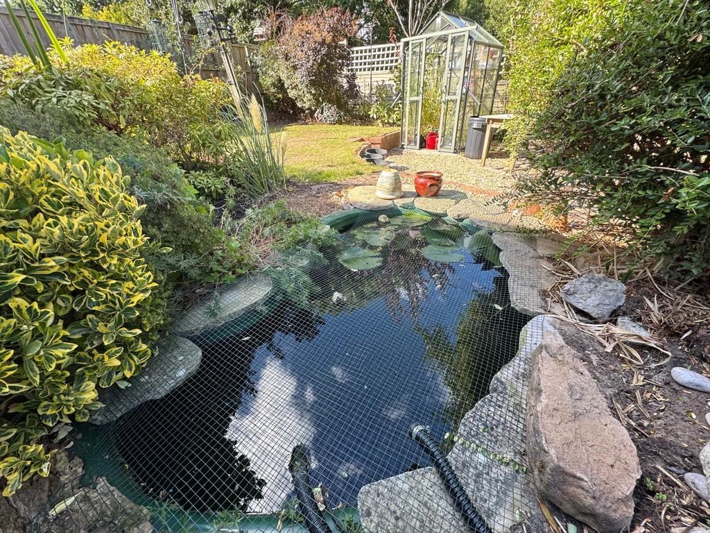 Garden and Pond
