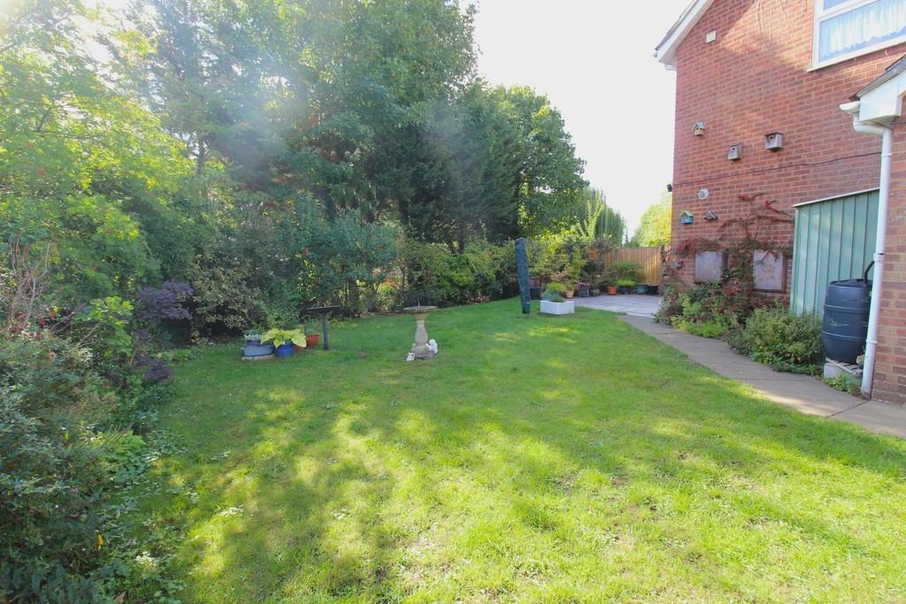 Garden 2