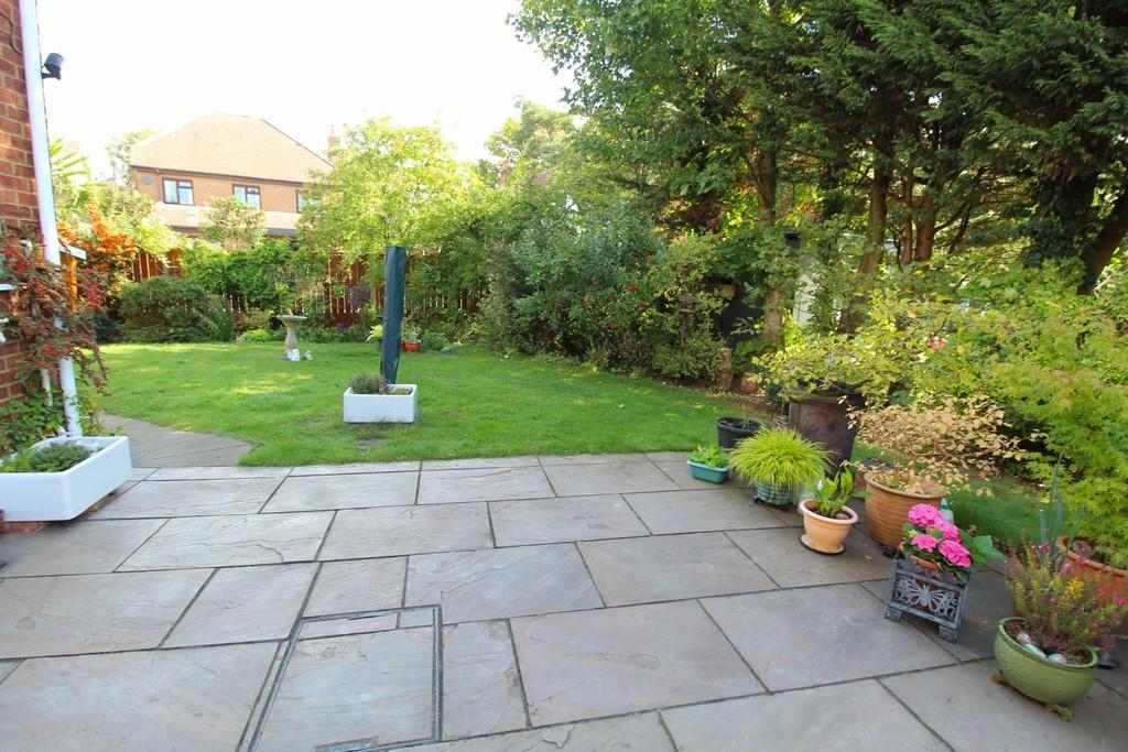 Garden 4