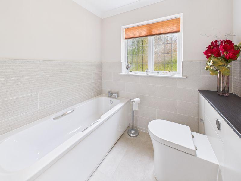 Bath &amp; Shower Room