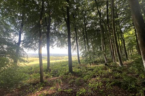 undefined, Glopa Wood, Old Racecourse, Oswestry, Shropshire, SY10 7HP