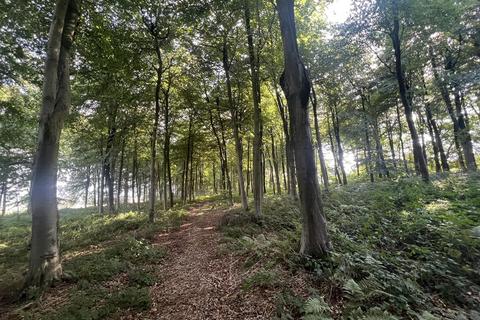 undefined, Glopa Wood, Old Racecourse, Oswestry, Shropshire, SY10 7HP