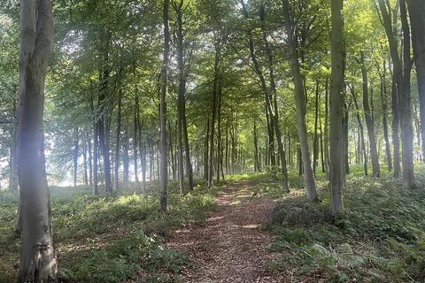 undefined, Glopa Wood, Old Racecourse, Oswestry, Shropshire, SY10 7HP