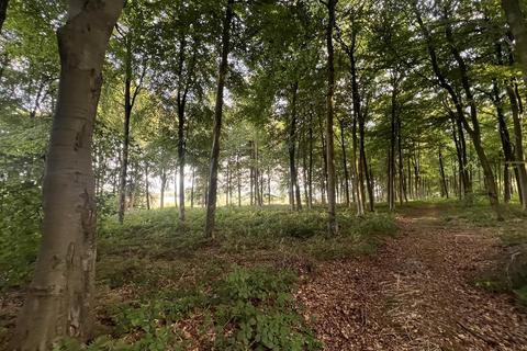 undefined, Glopa Wood, Old Racecourse, Oswestry, Shropshire, SY10 7HP