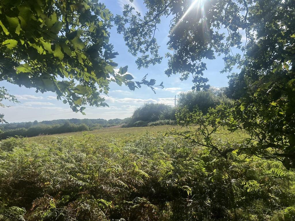Lot 2 view