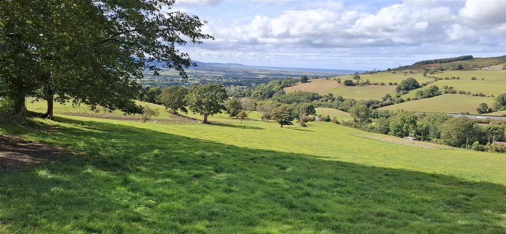 10.92 Acres.jpg