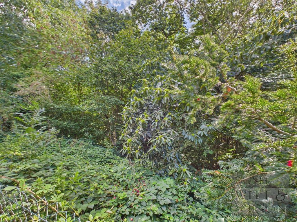 CAM03417 G0-PR0837-STILL034.jpg