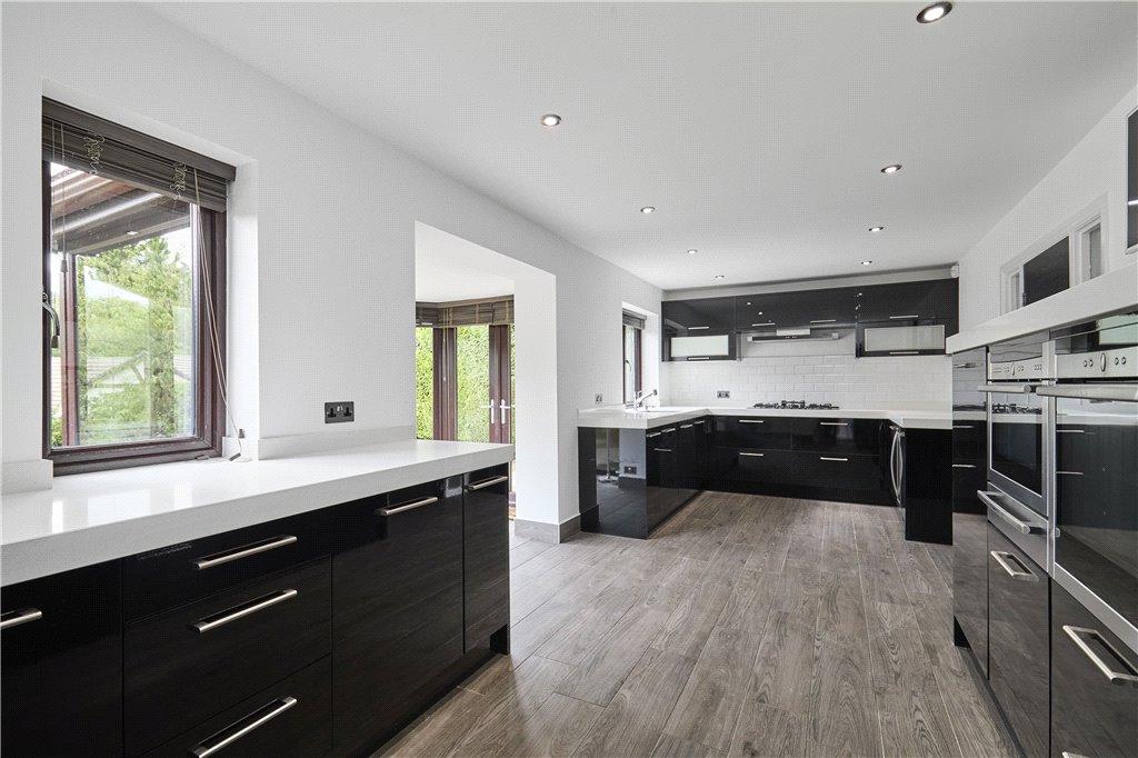 Modern Kitchen