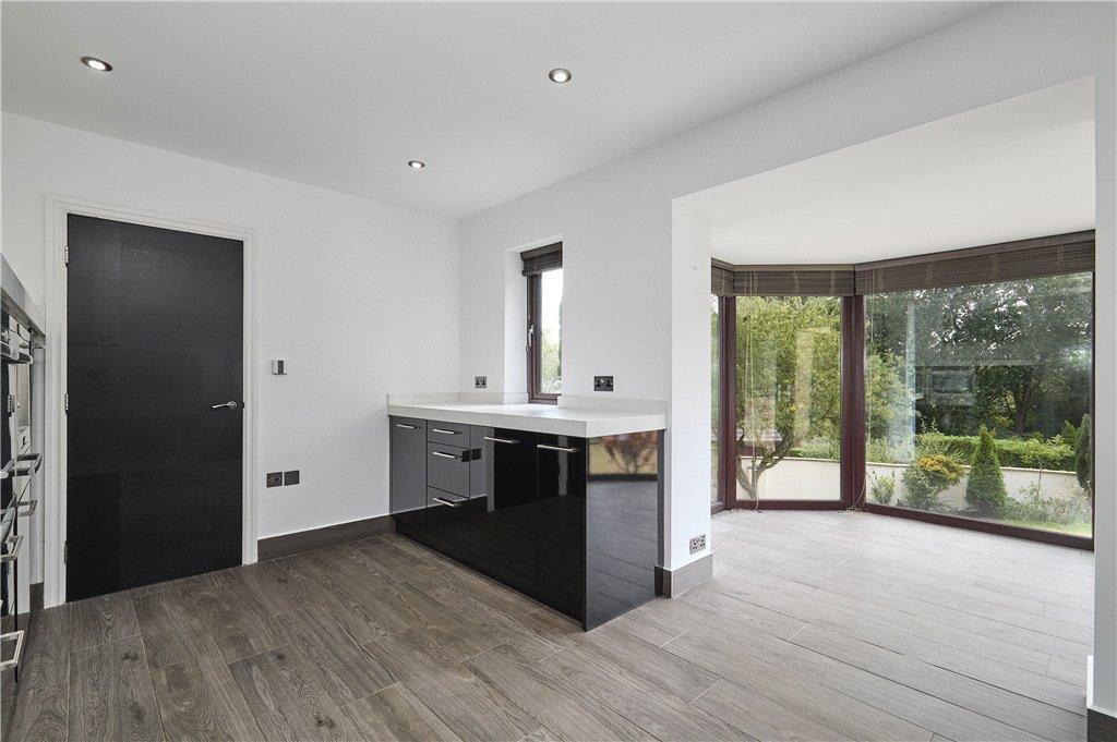 Modern Kitchen