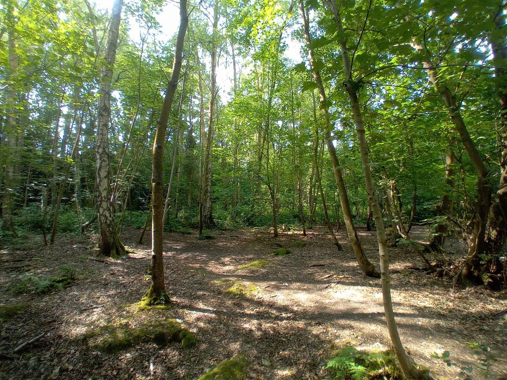 Photo 6