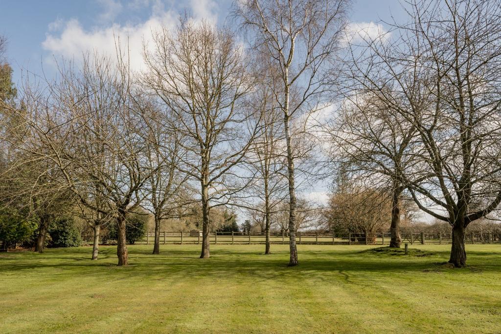 Grounds