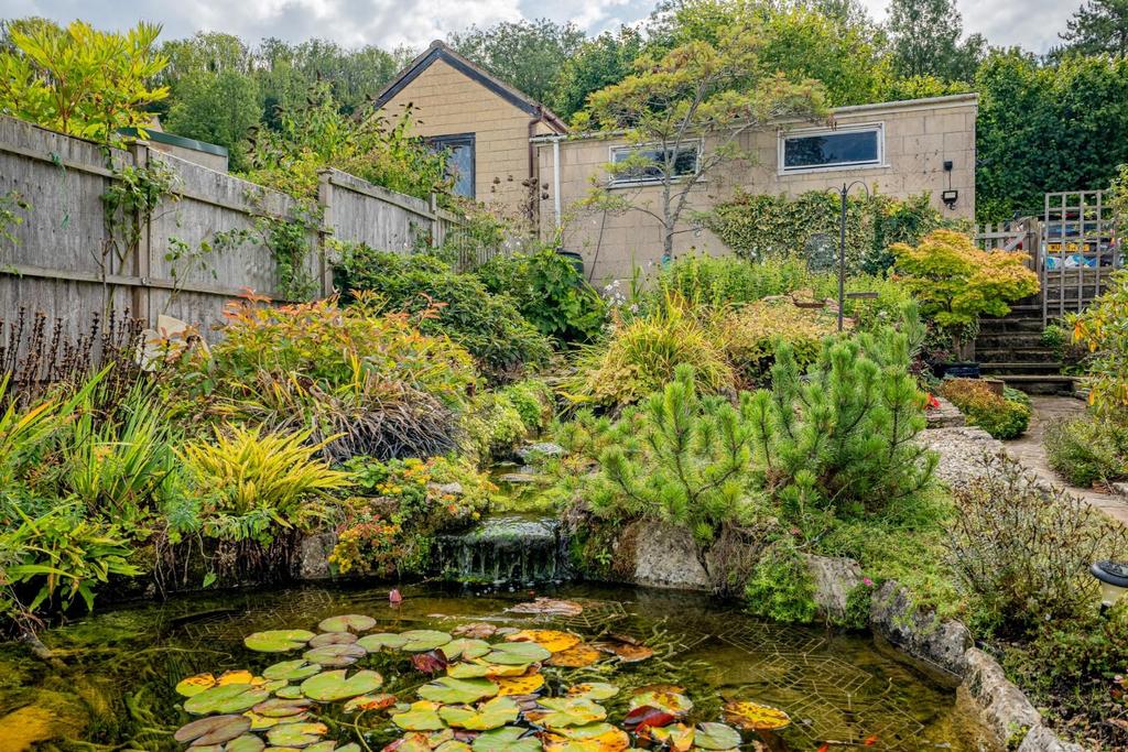 Pond garden.jpg