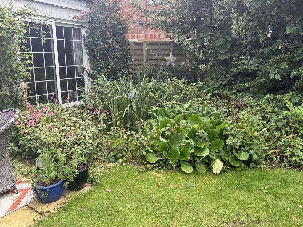 Photo 25