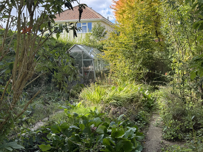 Photo 25