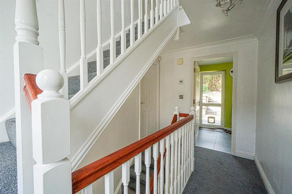 DSC08207 Alto.jpg