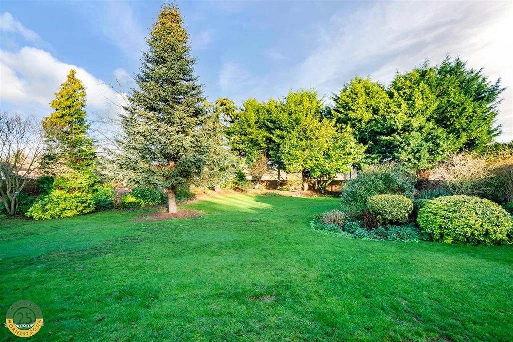 Rear Garden 6.jpg