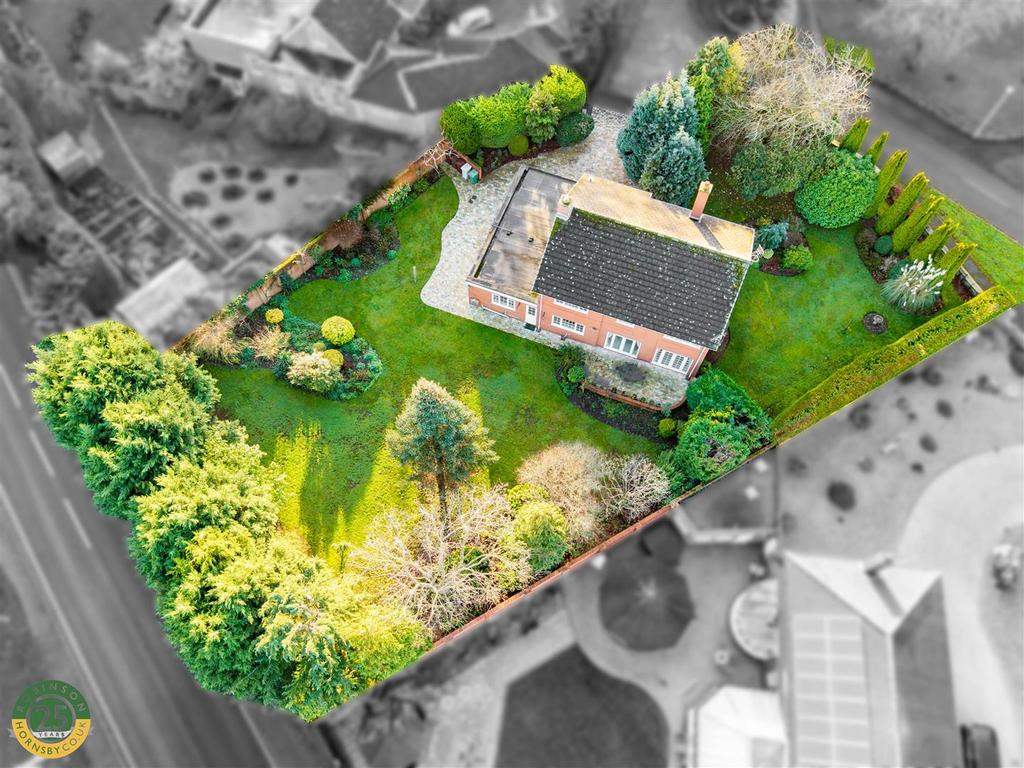 Aerial 4 .jpg