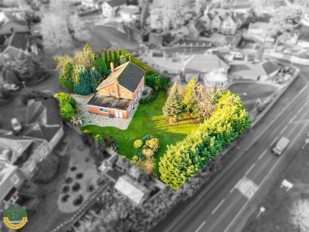Aerial 6 .jpg