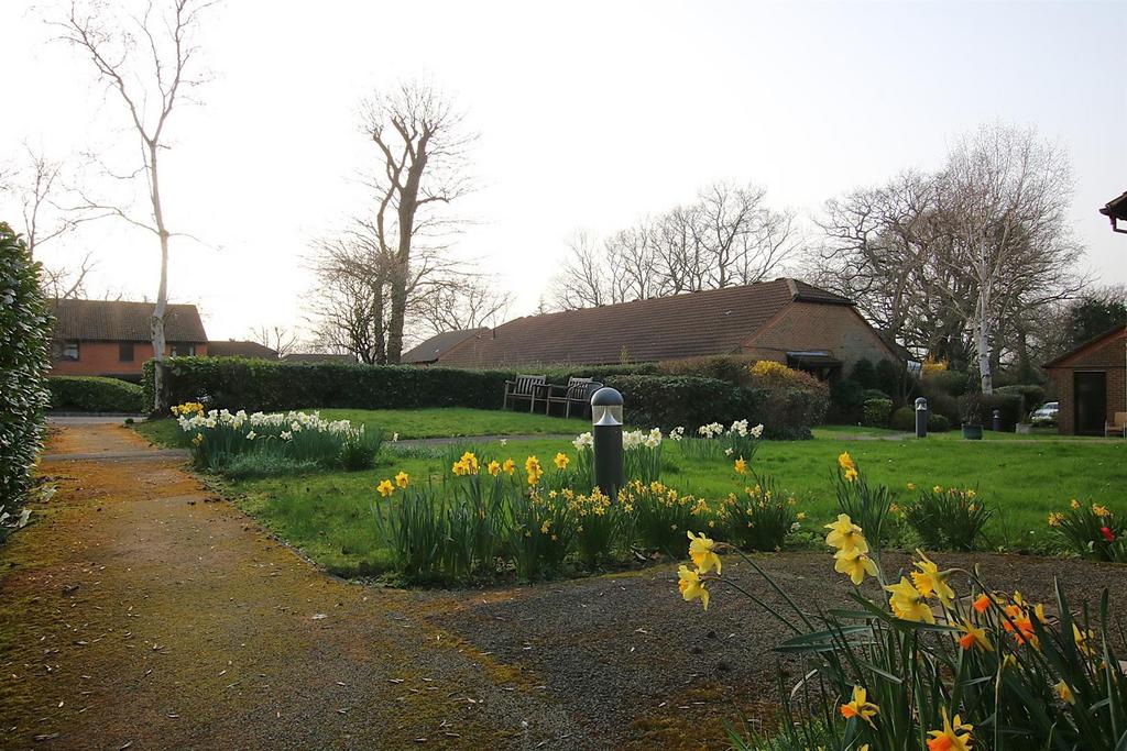 Img 0872.jpg