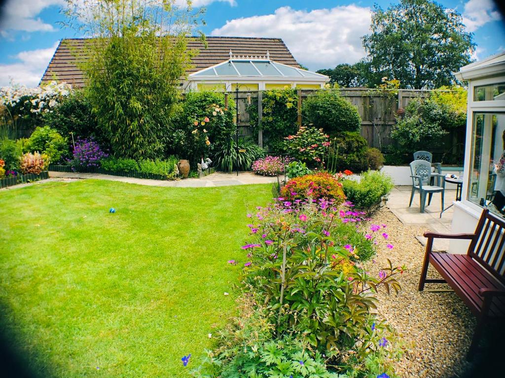 Garden 6.png