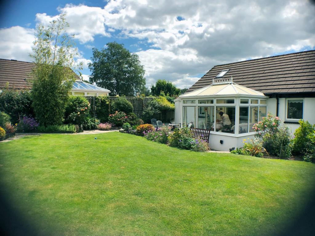 Garden 3.png
