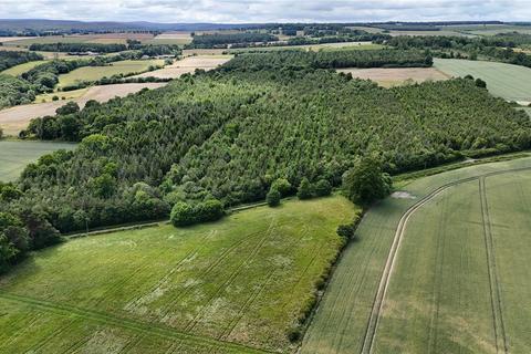 undefined, Shotley Estate Woodlands, Consett, Northumberland, DH8