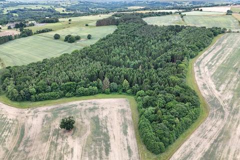 undefined, Shotley Estate Woodlands, Consett, Northumberland, DH8