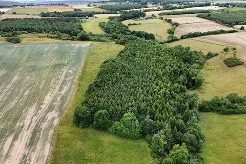 undefined, Shotley Estate Woodlands, Consett, Northumberland, DH8