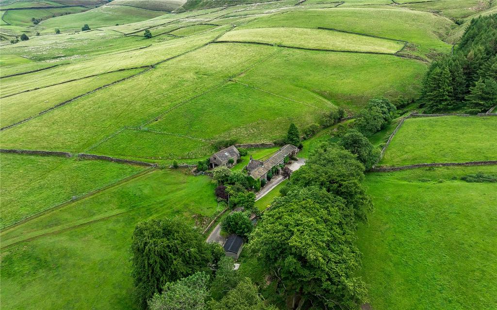 Aerial Views