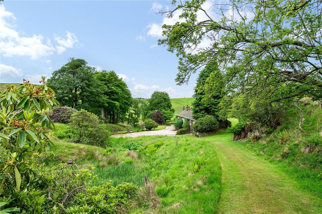 Extensive Grounds