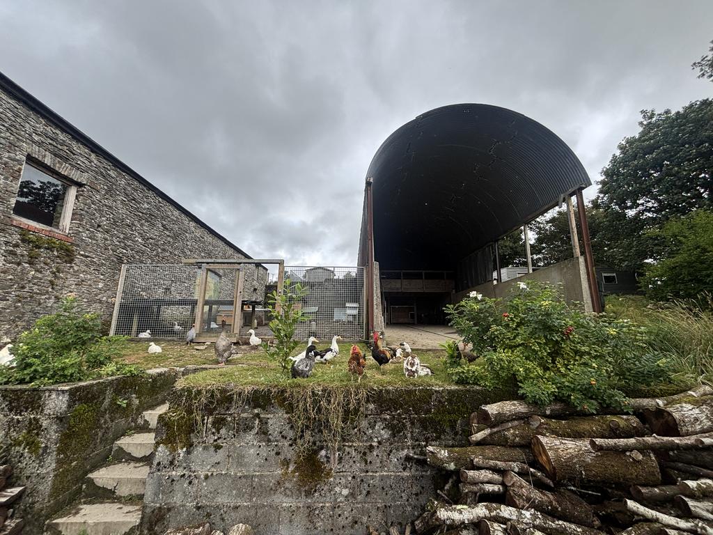 Various poultry enclosures