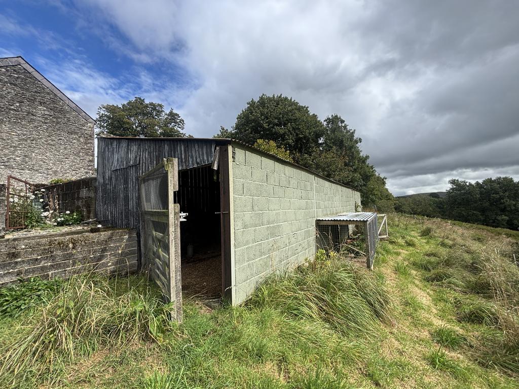 Duck house/sheep shed