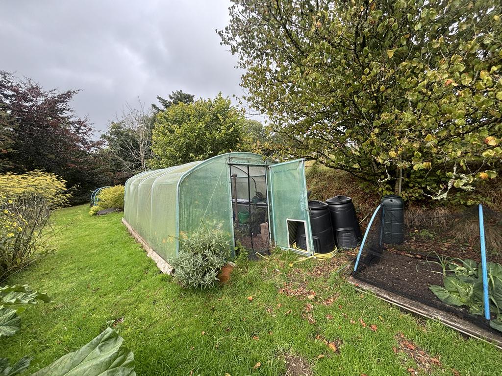 Kitchen garden