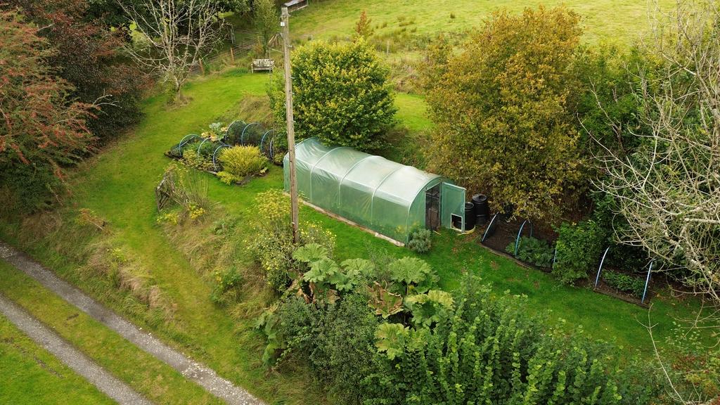 Kitchen garden (second image)