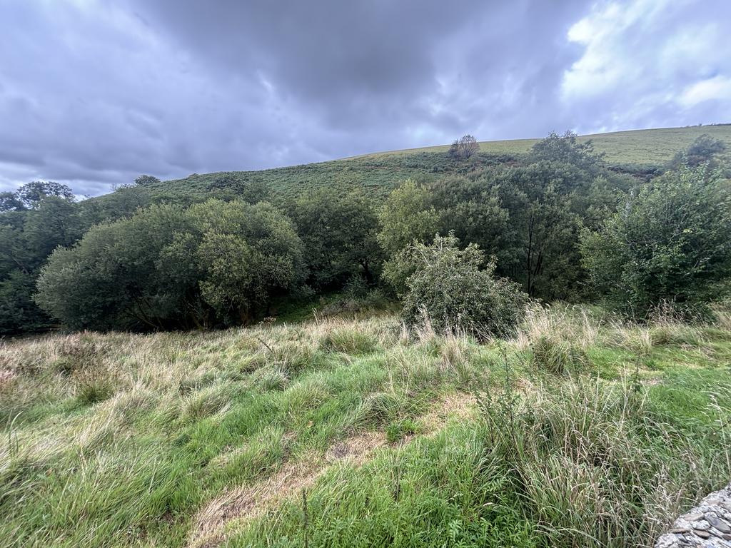 The land (second image)