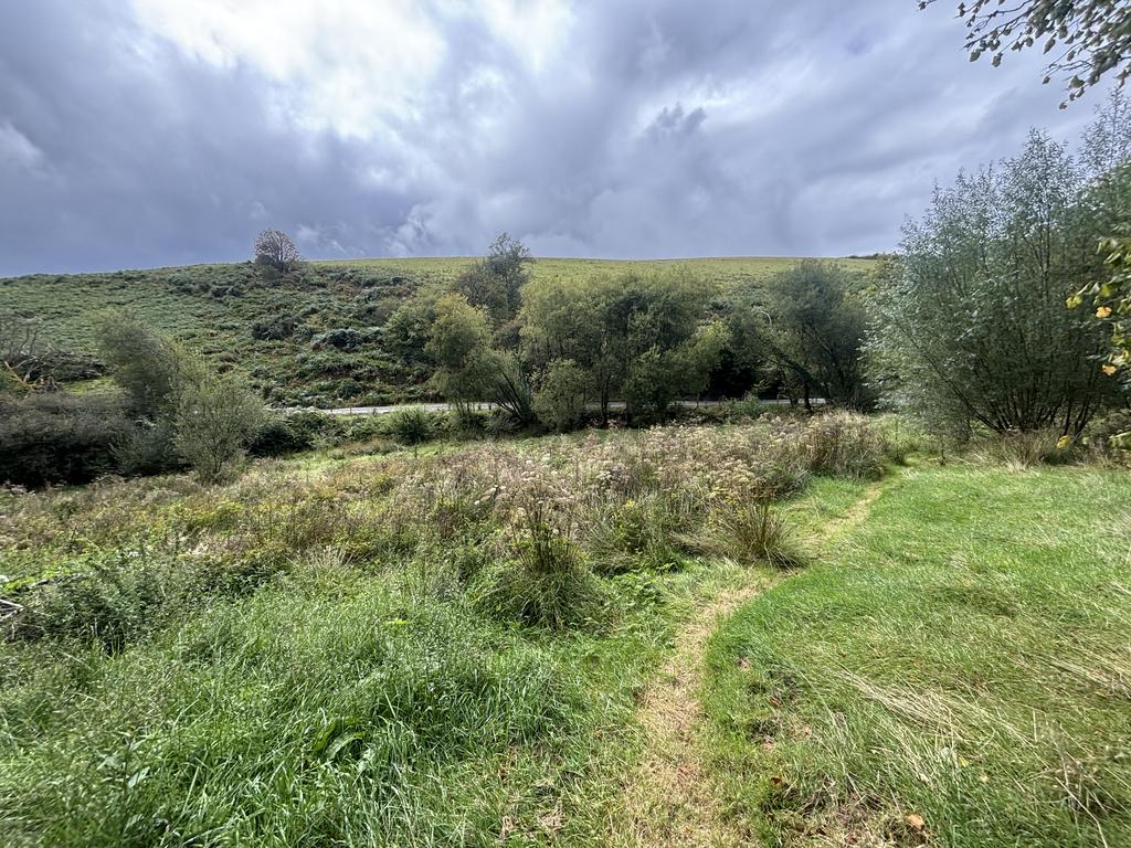 The land (third image)