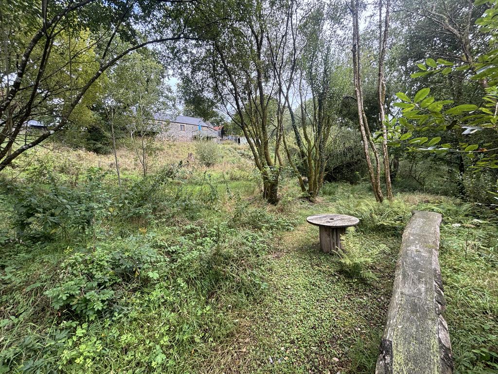 The land (fourth image)