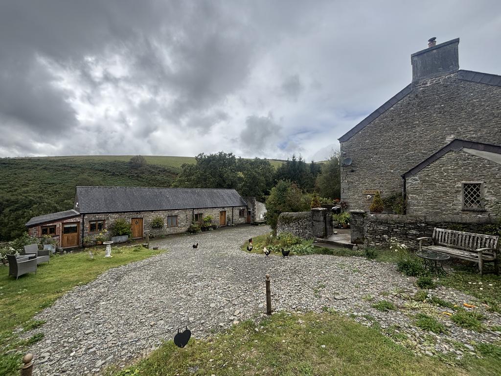 Parking and driveway