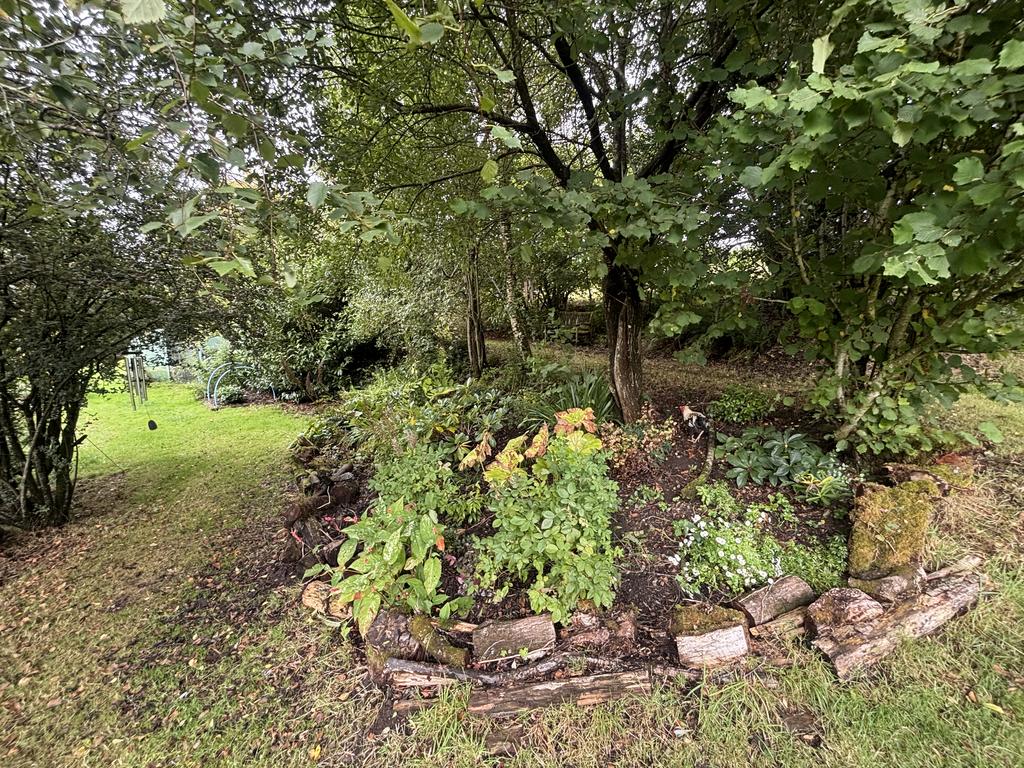 The grounds