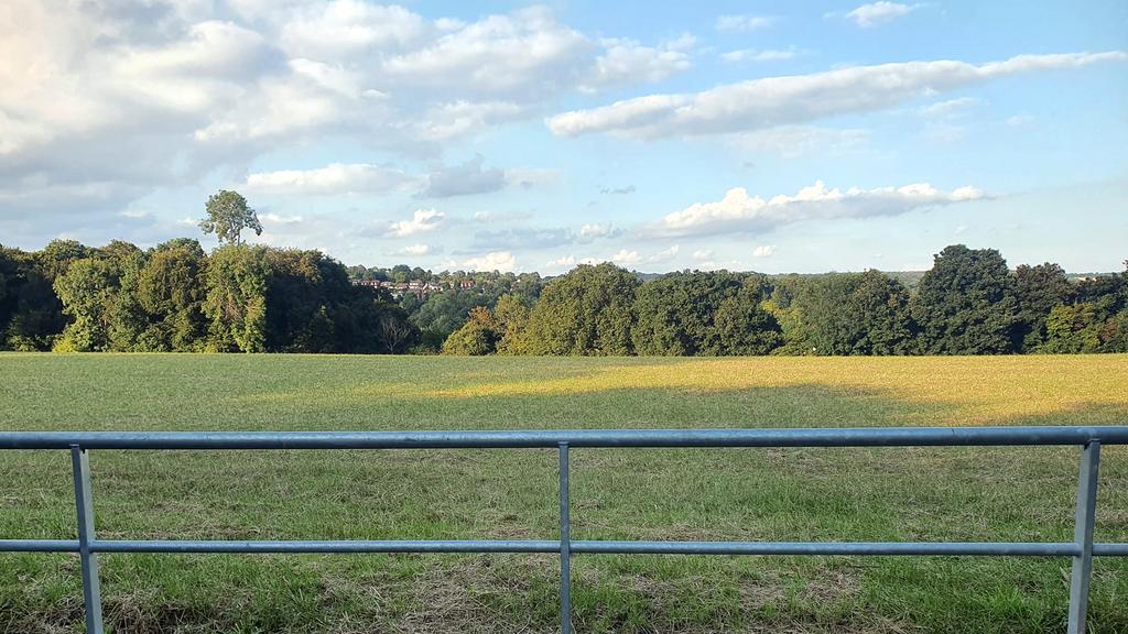 Grazing land for sale in Marlow.