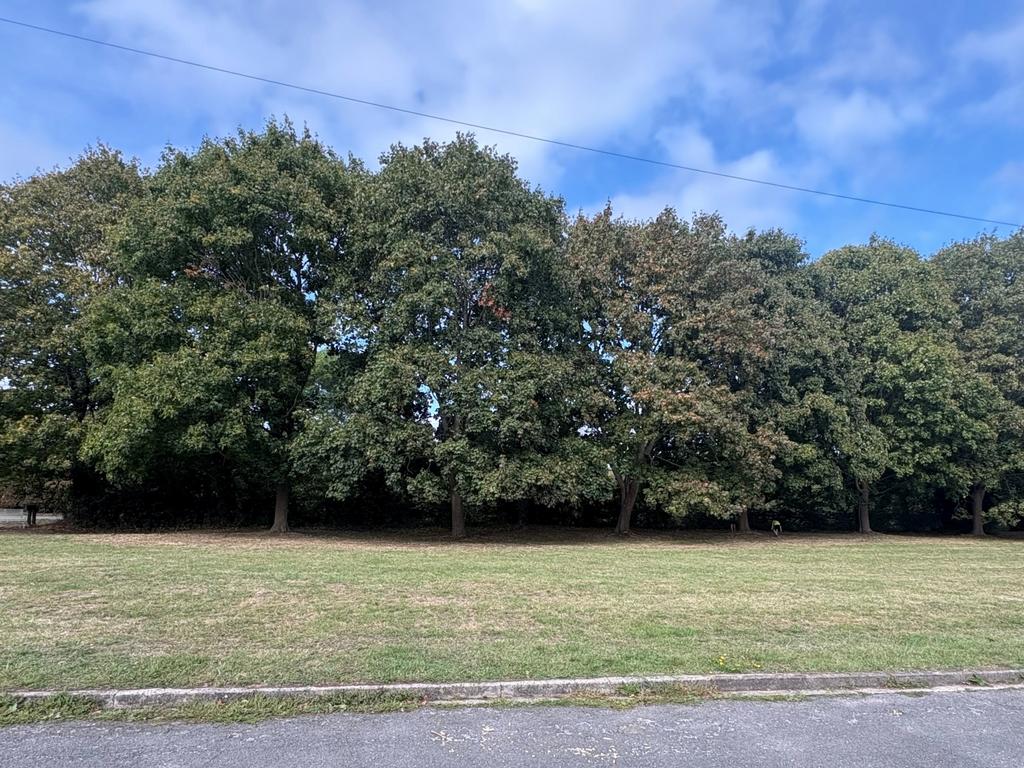 Open Green