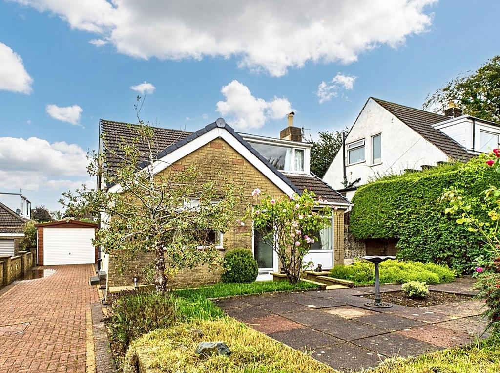 Welcome to Dale Avenue