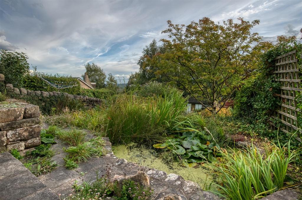 Garden pond.jpg