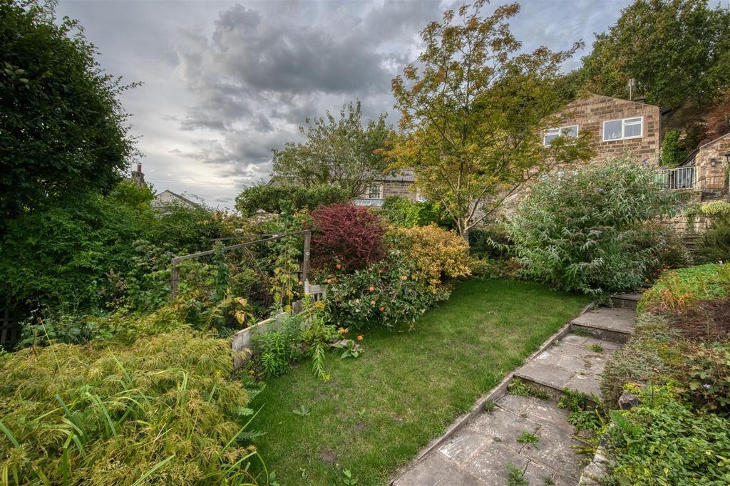 Garden - lawn and apple tree.jpg