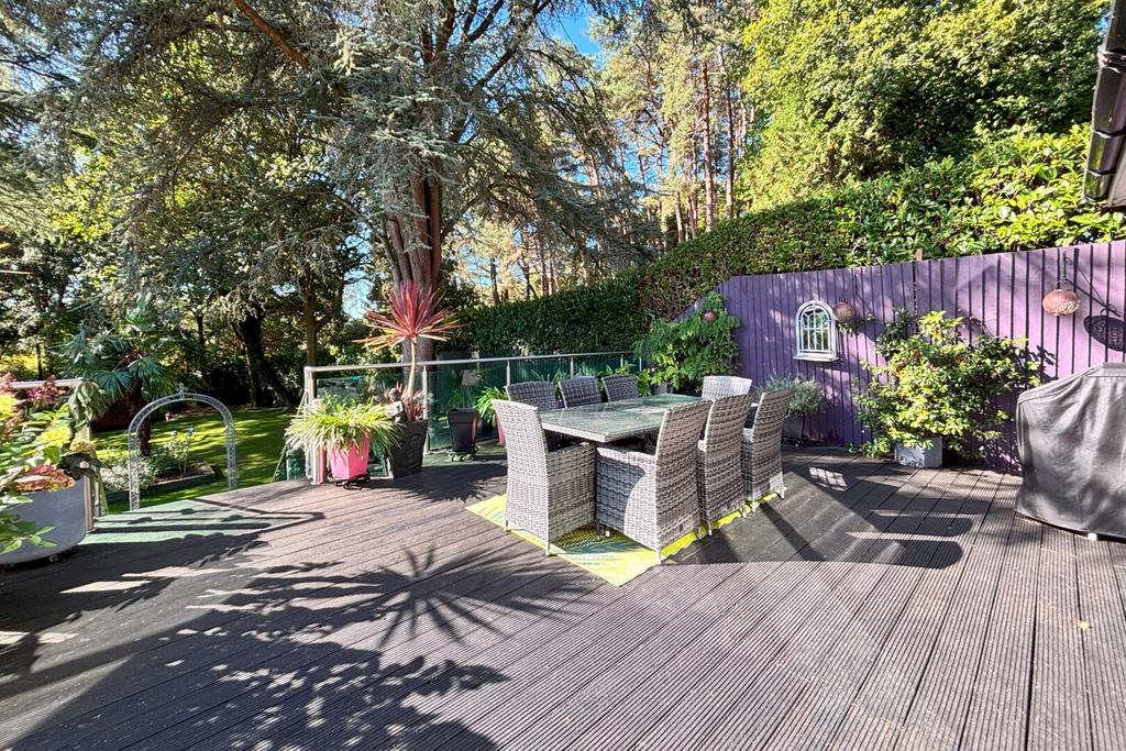 Terrace / Patio